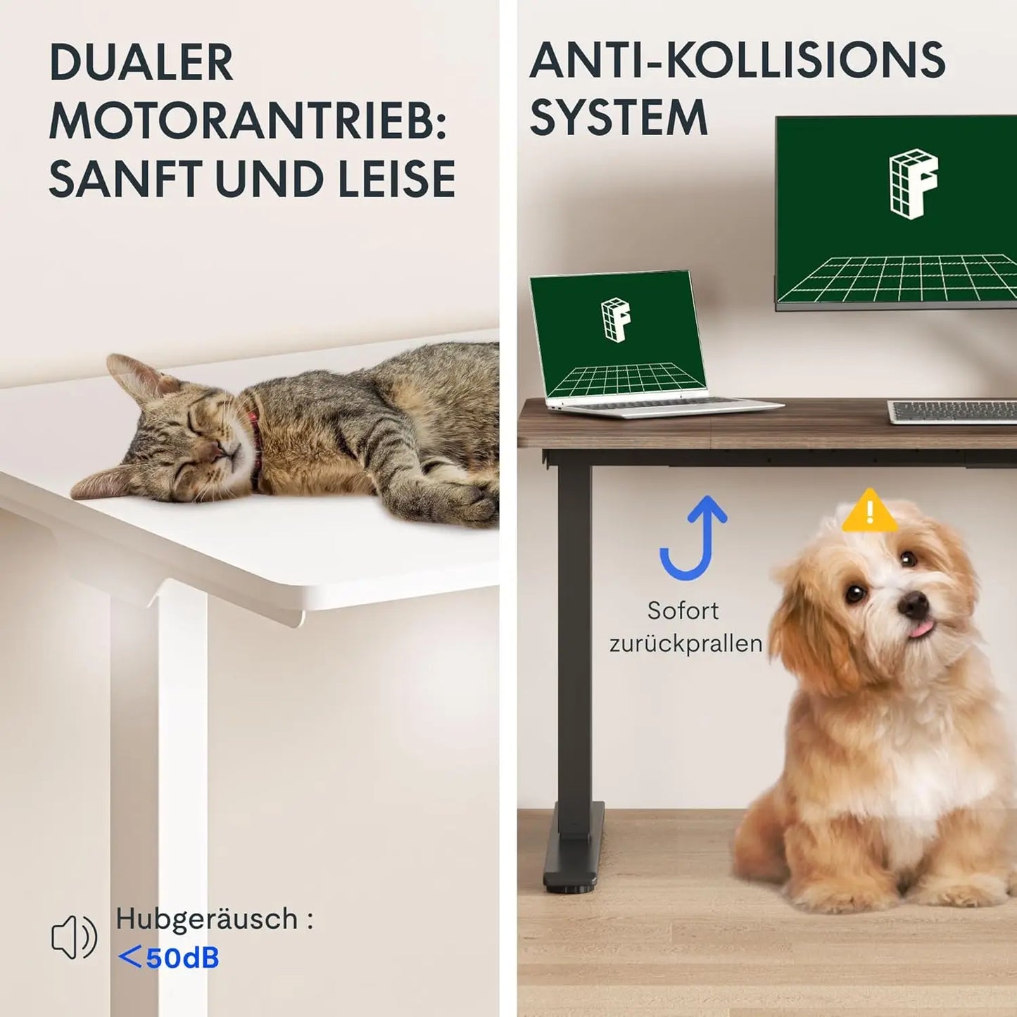 71x32 Inch Large Dual Motor Electric Standing Desk, Black - Computer Desk with Memory Controller, Home Office Desk, Customized