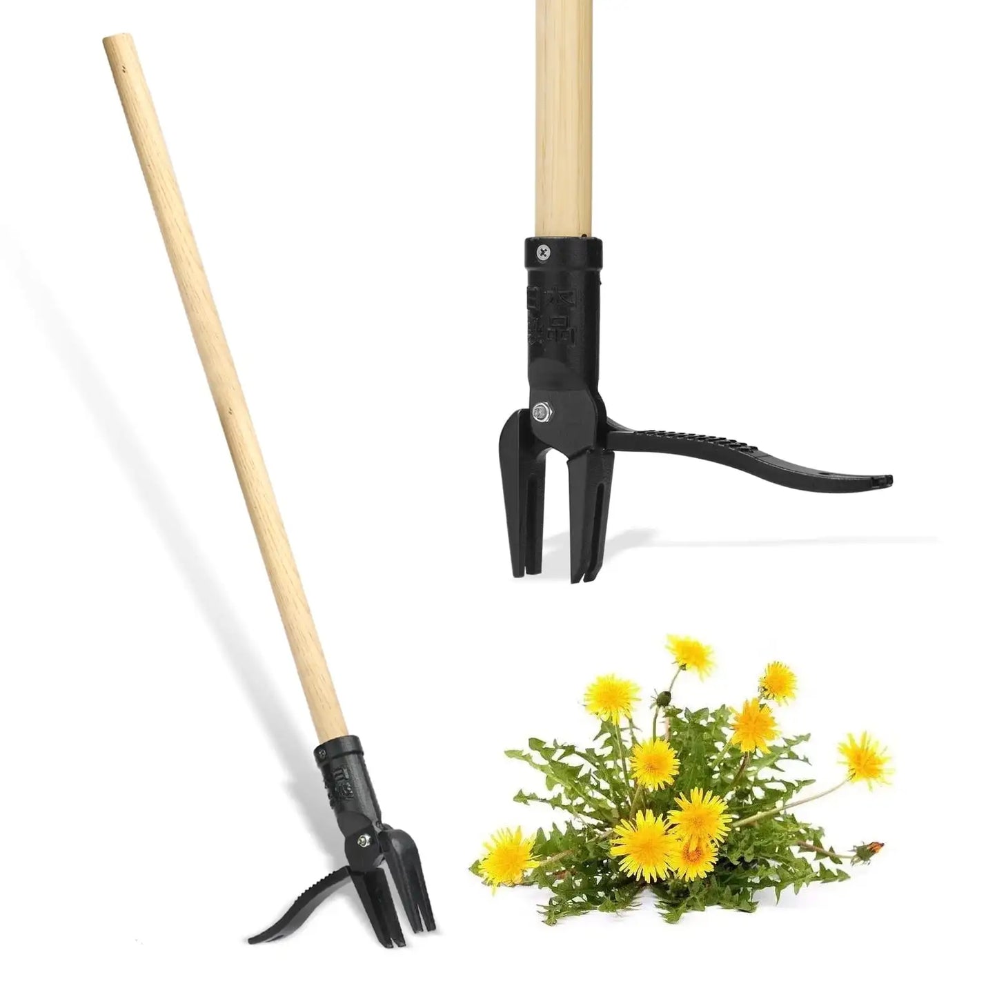 Stainless Steel Stand Up Weed Puller With Wood Handle Four Claw For Lawn And Garden
