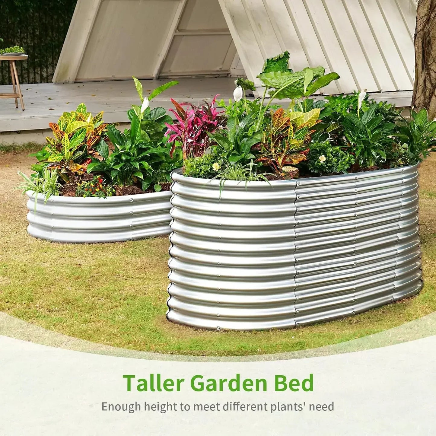 Oval Galvanized Raised Garden Bed Outdoor Planter For Durable Easy Care Gardening