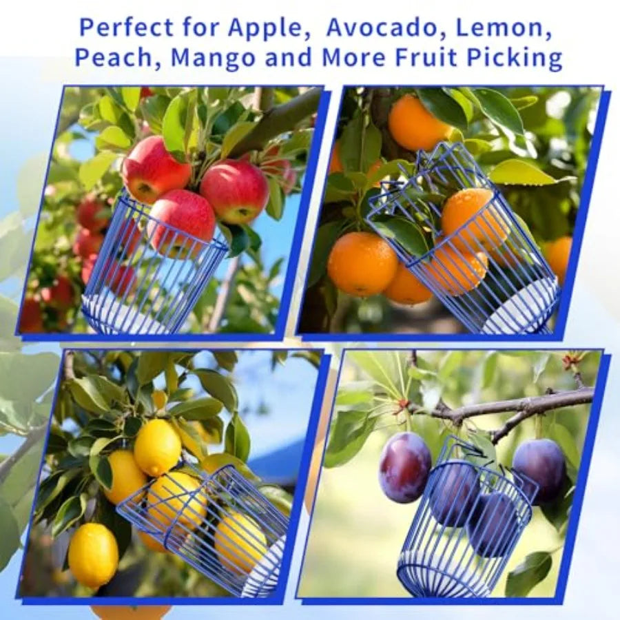 Extendable Fruit Picker Pole With Adjustable Basket For Apple And Citrus Harvesting From Tall Trees