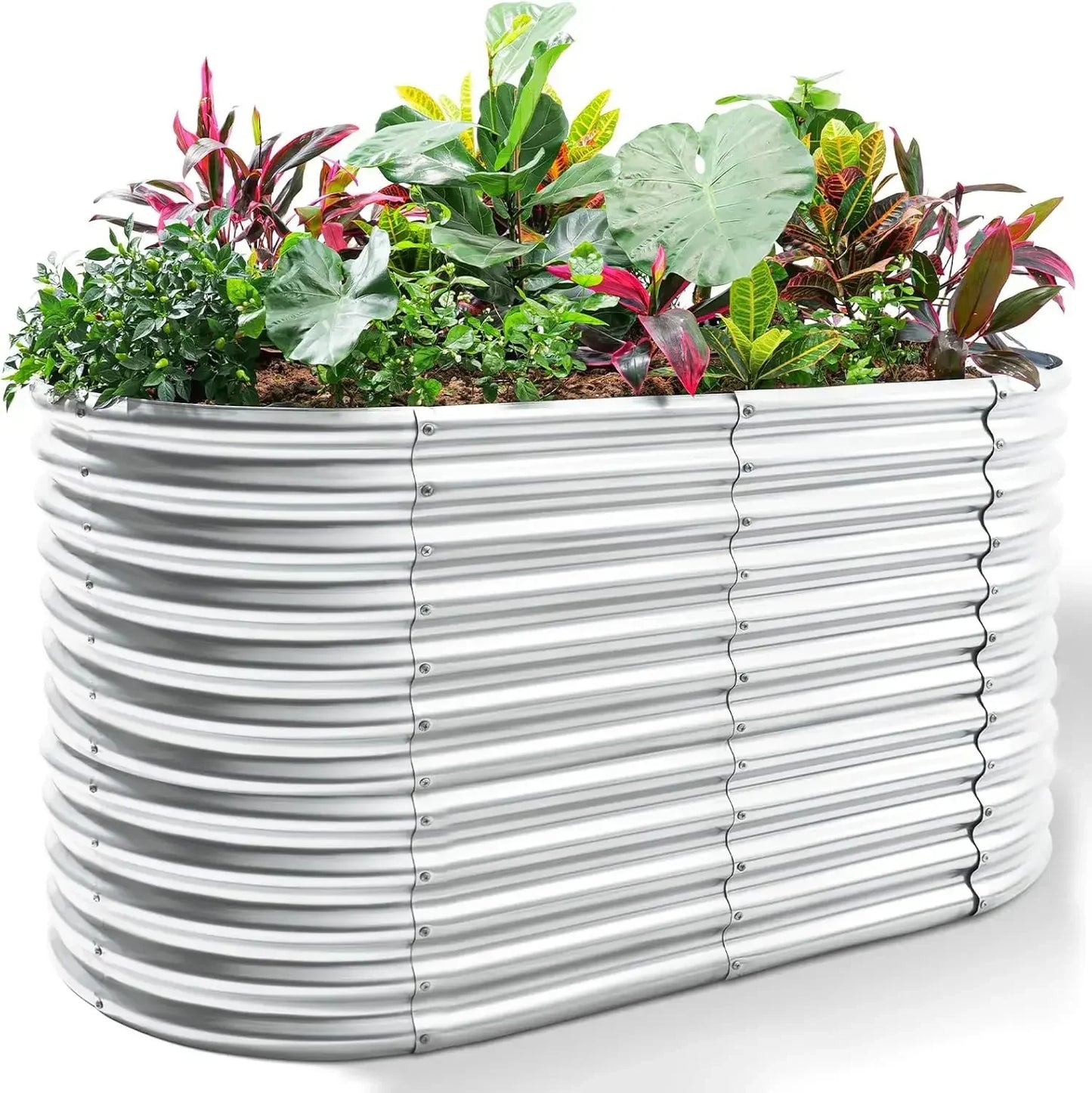 Oval Galvanized Raised Garden Bed Outdoor Planter For Durable Easy Care Gardening