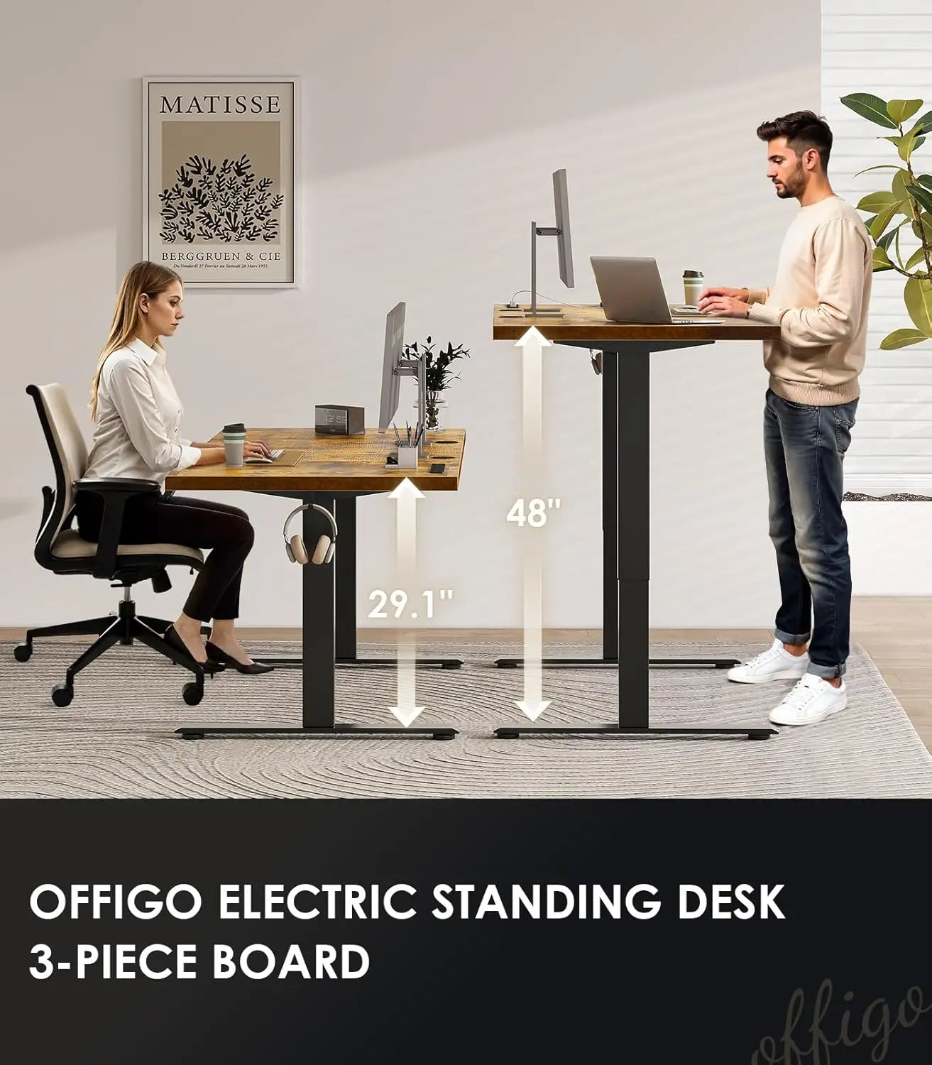 Executive Electric Standing Desk With Height Adjustment And Built In Power Outlet Sit Stand Desk From 29.1 To 48 Inches